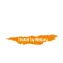 Fabricantes 13 inno3d